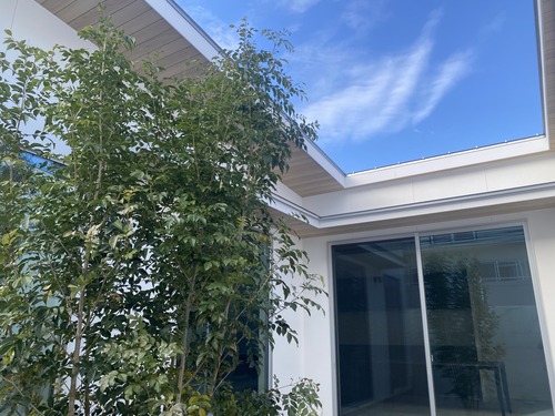 デザインと性能の融合で叶える理想の暮らし!IE LAB♡笹倉さんが語る後悔しない家づくりの秘訣