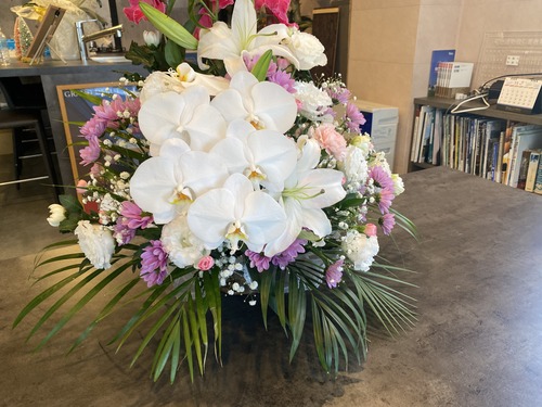 性能とデザインが織りなす、愛される暮らし。泉州地域の注文住宅ならIE LAB♡にお任せください!